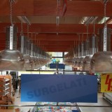 Surgelati